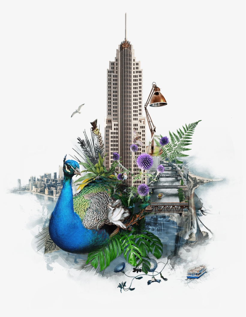 Discover Card, transparent png download