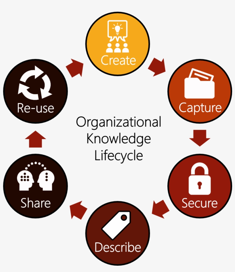 Km Targets Both Tacit Knowledge, I - Mindful Eating Cycle, transparent png download