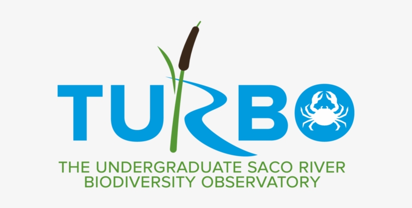 Long-term Ecological Research - Maine, transparent png download