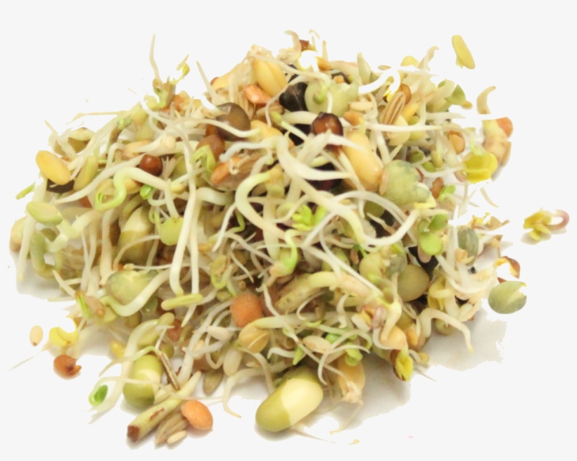 Home > Seeds > Organic Sprout It Out - Sprout It, transparent png download