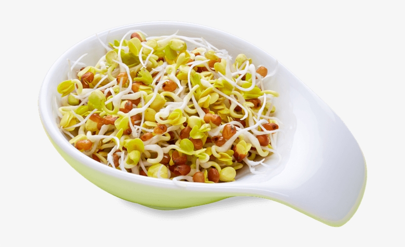Radieschen - Sprout Salad Png, transparent png download