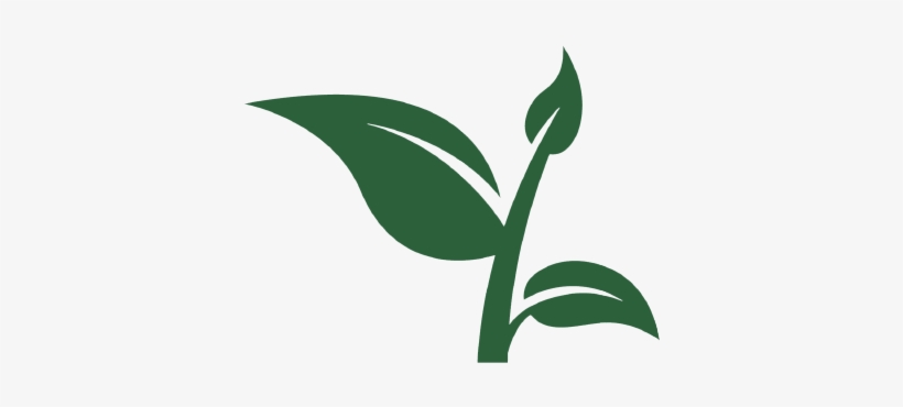 Cb Website Sprout Icon - Vector Graphics, transparent png download