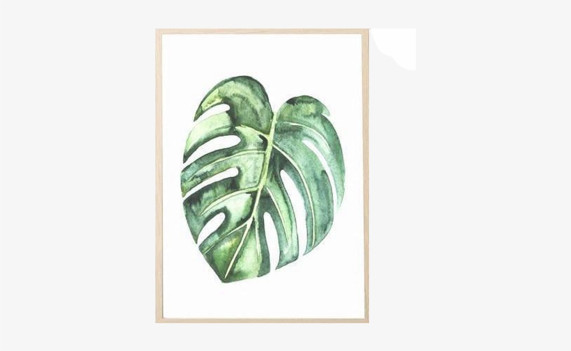 Nature Decor, Wall Decor, Monstera Deliciosa Canvas - Monstera Plant Canvas, transparent png download