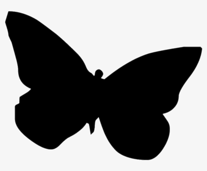 Descargar - Butterfly Silhouette Transparent Background, transparent png download
