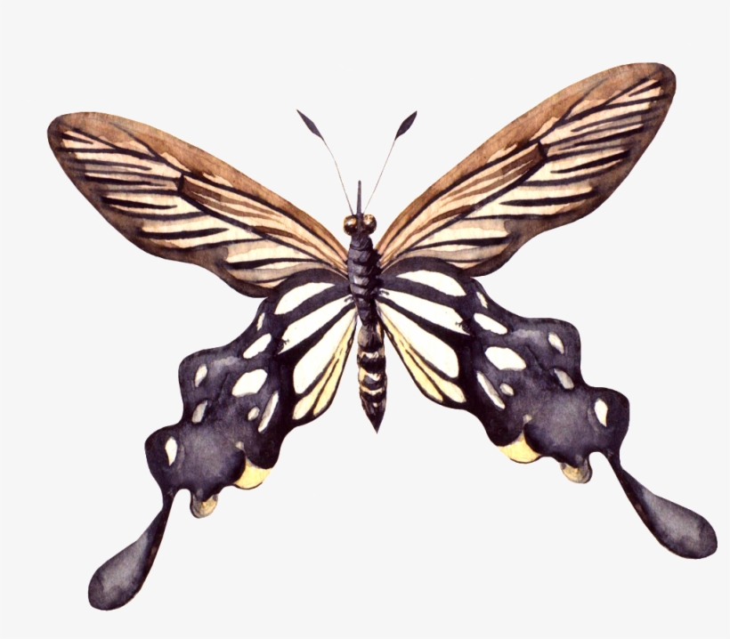 Pintado A Mano De Madera Hecho A Mano De Png Transparente - Portable Network Graphics, transparent png download