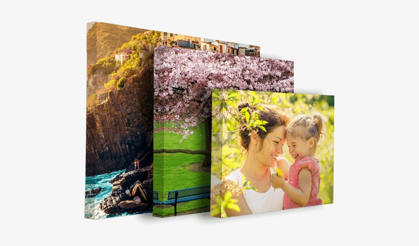 Canvas - Canvas Print, transparent png download