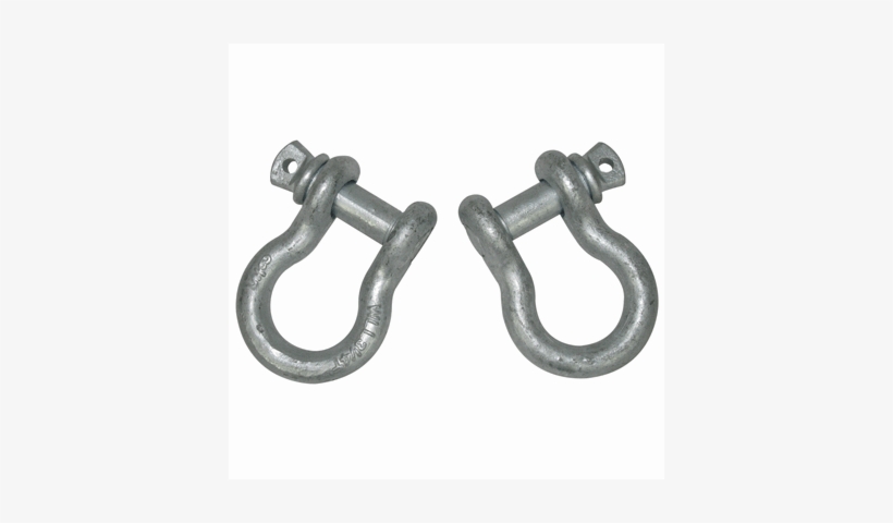 D-ring Shackles - 5/8 - Shackle, transparent png download