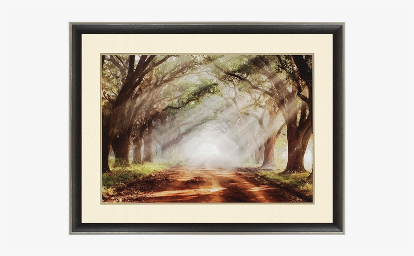 Evergreen Plantation - Evergreen Plantation Framed Print, transparent png download