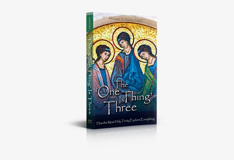 The "one Thing Is Three" Is Written For Everyone - One Thing Is Three By Fr Michael E Gaitley, transparent png download