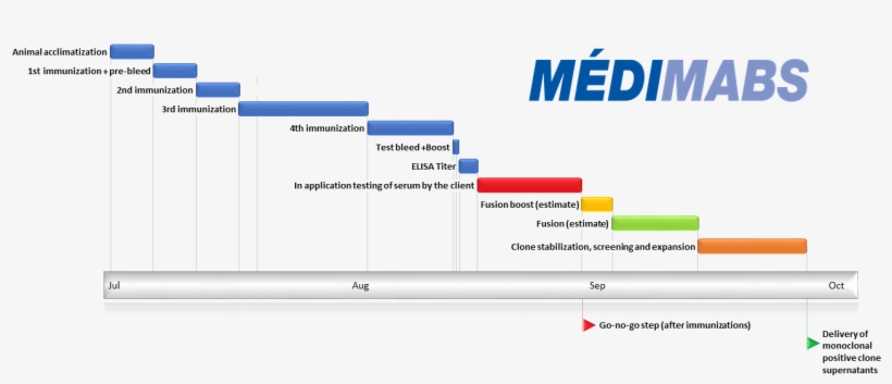 Strategy, Antigen Design And Synthesis - Design, transparent png download