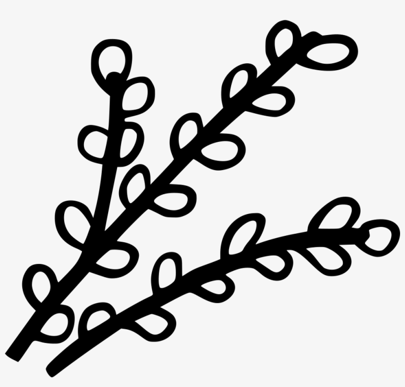 Png File - Pussy Willow, transparent png download