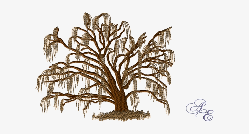 A Winter Version Of Our Willow Tree With Brown Grass - Pond Pine, transparent png download