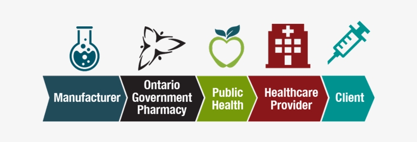 Diagram Of The Cold Chain, Starting With Manufacturer, - Cold Chain Png, transparent png download