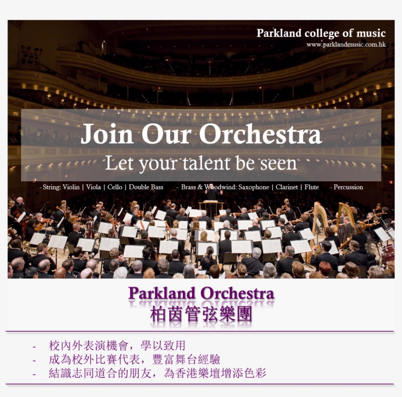 Parkland Orchestra1 - Orchestra Pit, transparent png download