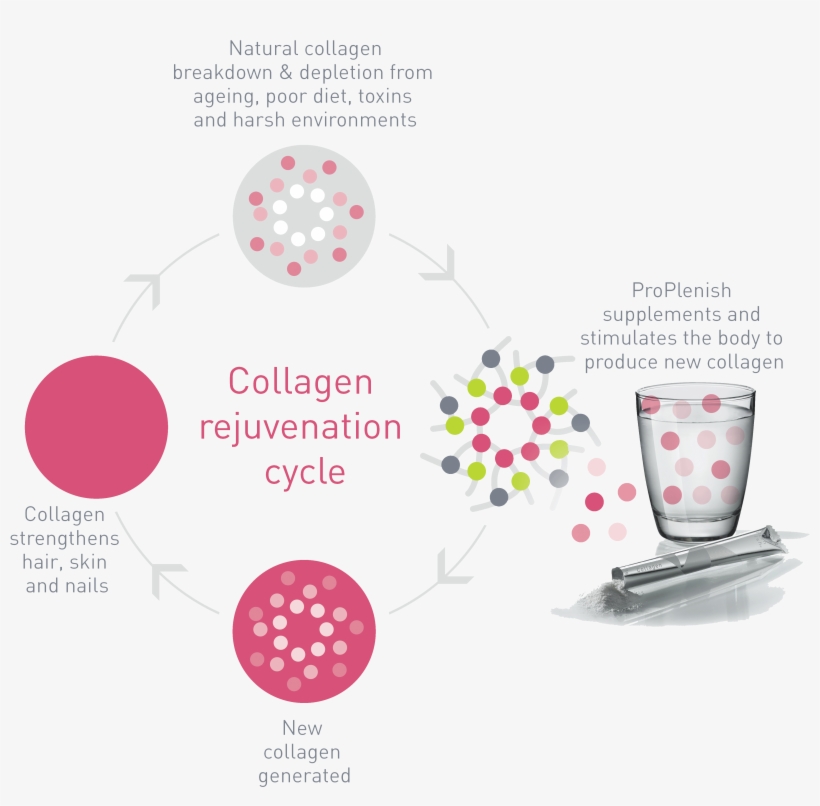 Proplenish-picto - Collagen Logo, transparent png download