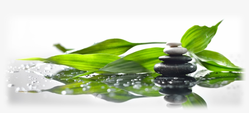 Appointments - Today I Decided To Forgive You, transparent png download