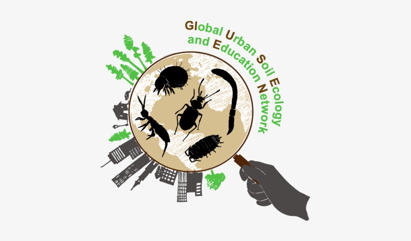 Introduction - Ecology, transparent png download