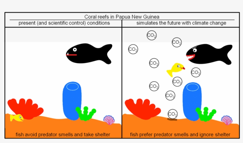 Fishies - Ocean Acidification Clipart, transparent png download