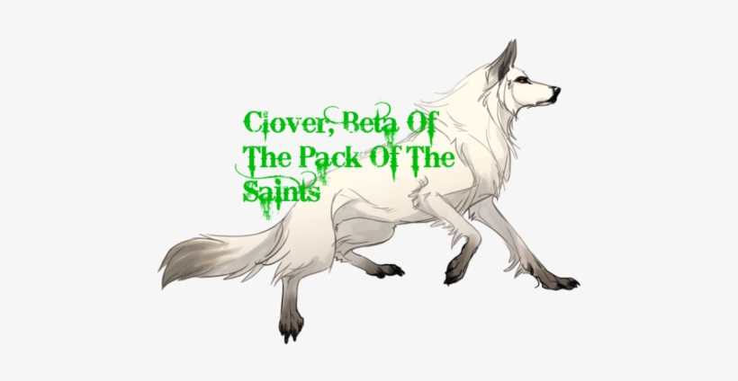 Clover Alpha Of Pack Of The Saints - Old Linemen Rule 2 Square Sticker 3" X 3", transparent png download