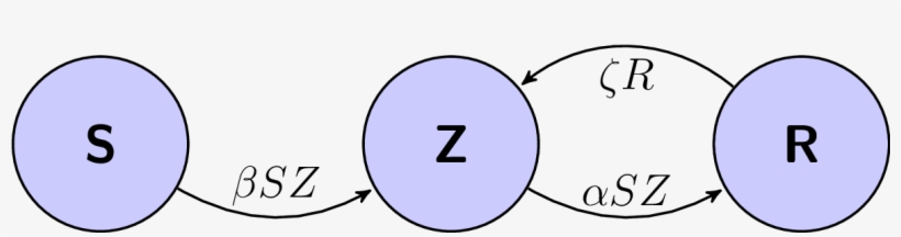 Flowchart Of The Szr Model - Circle, transparent png download