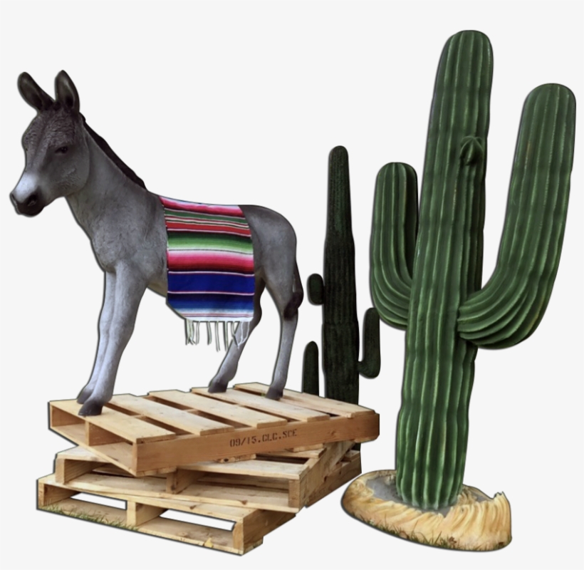 Mexican Fiesta Package - Platinum Prop Rentals Llc., transparent png download