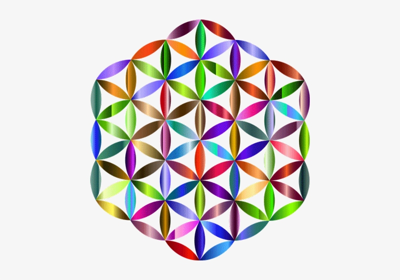 Value $44 - - Women's Short Sleeve T-shirt - White M, transparent png download