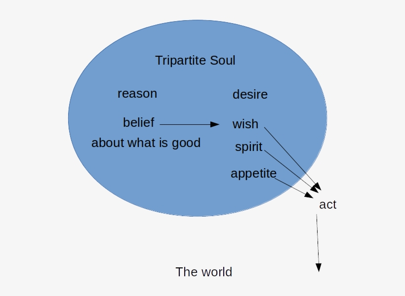 In The Republic, Socrates Argues The Soul Has Three - Plato's Tripartite Theory Of Soul, transparent png download
