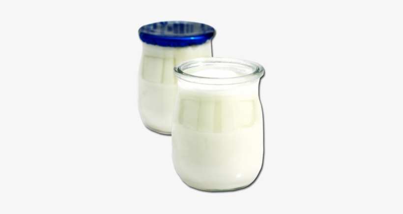Yoghurt - Yogurt, transparent png download