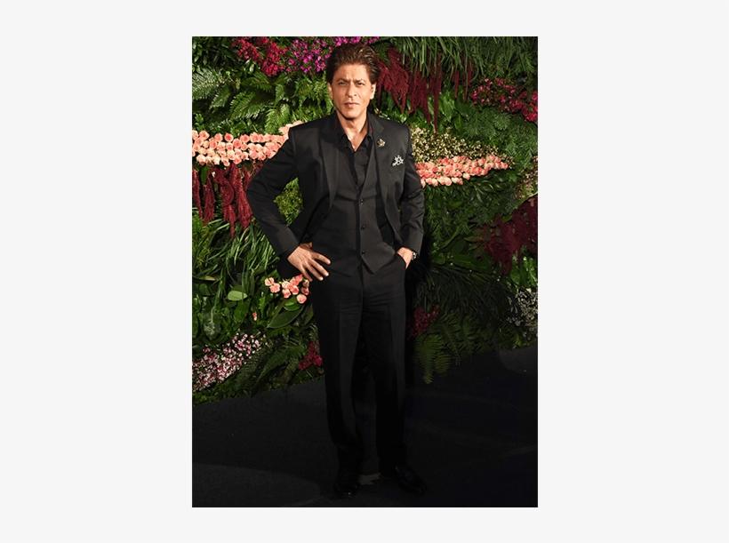 Shah Rukh Khan - Amitabh Bachchan, transparent png download