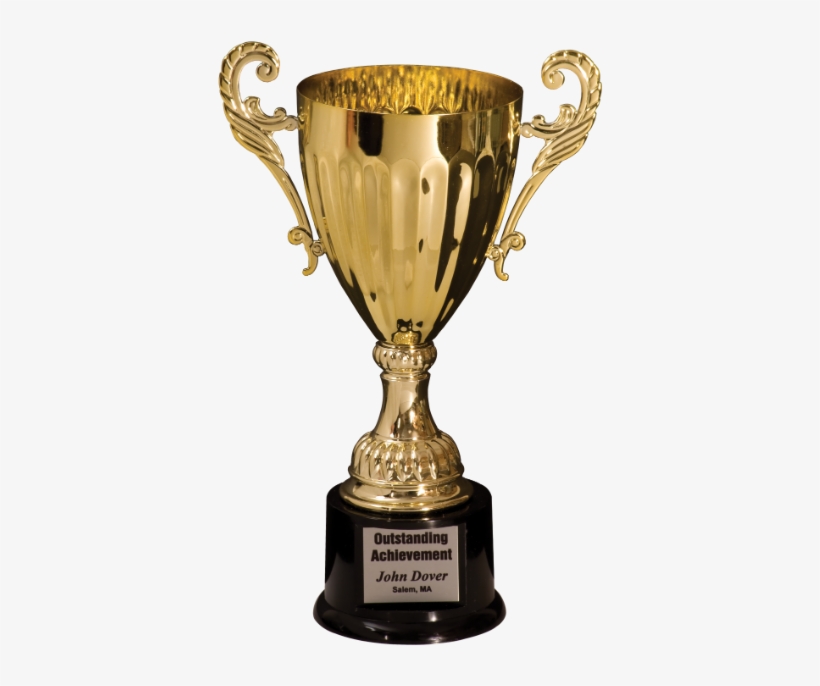 Check Out The Corporate Awards Catalogue Or The Sports - Trophy Amazon, transparent png download