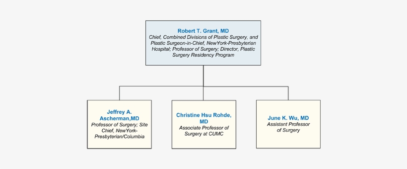 Social Security, transparent png download