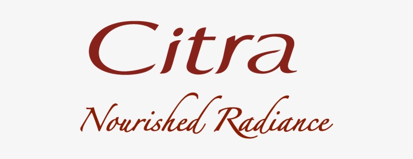 He Has More Than 10 Years Of Experience On Doing Activation - Vengeance Of The Swallows By Tadeusz Piotrowski 9780786447015, transparent png download