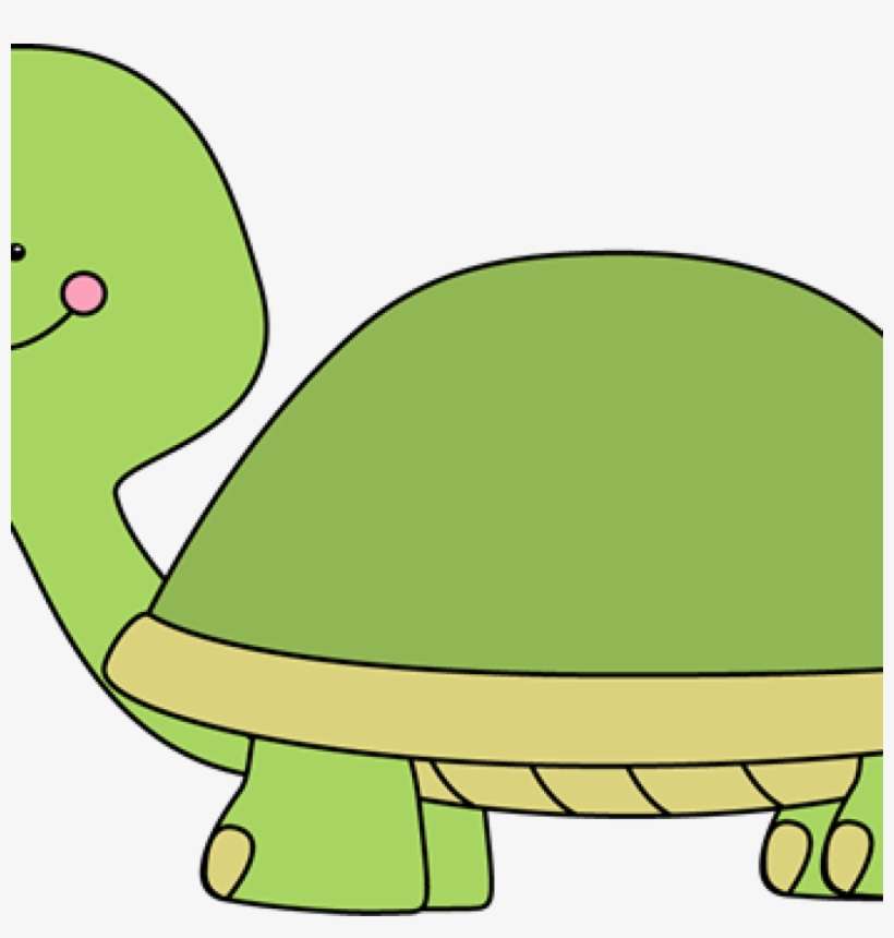Cute Turtle Clip Art Turtle Clip Art Turtle Images - Turtle Clipart Math, transparent png download