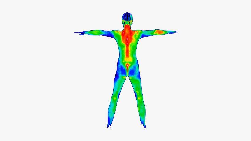 Fullbody Thermography - Thermography Body, transparent png download
