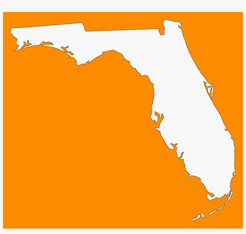 Florida Map Vector - Ooo You Almost Had It Guy, transparent png download