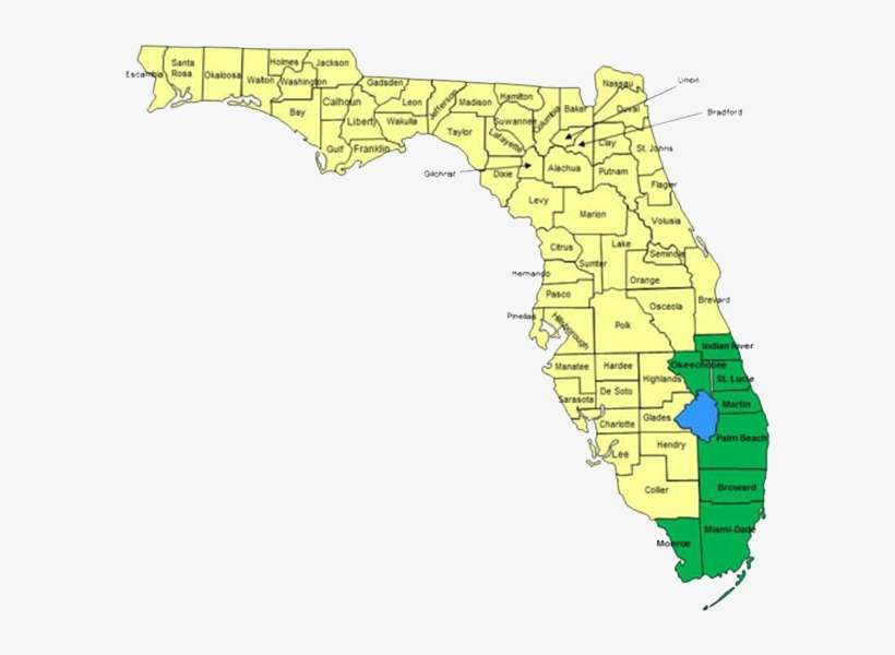 Serving South Florida - South Florida Transparent, transparent png download