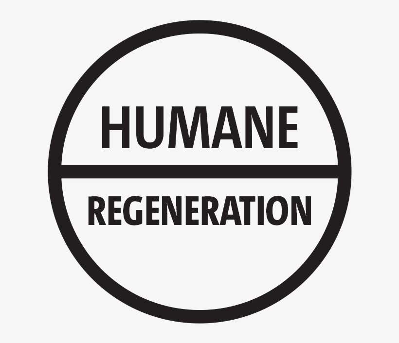 Michael Rosen On Twitter - Everglades Alligator Farm, transparent png download