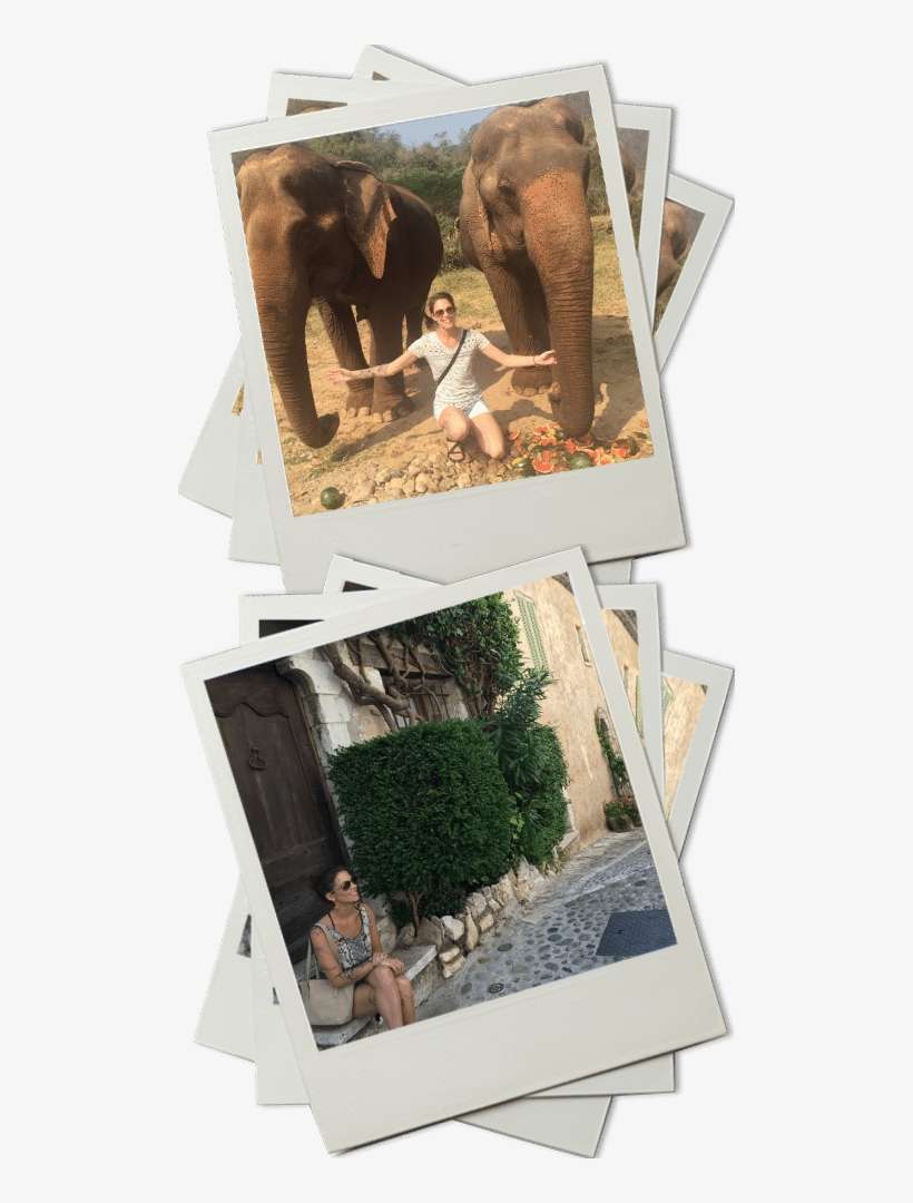 Rebecca Rosen - Picture Frame, transparent png download