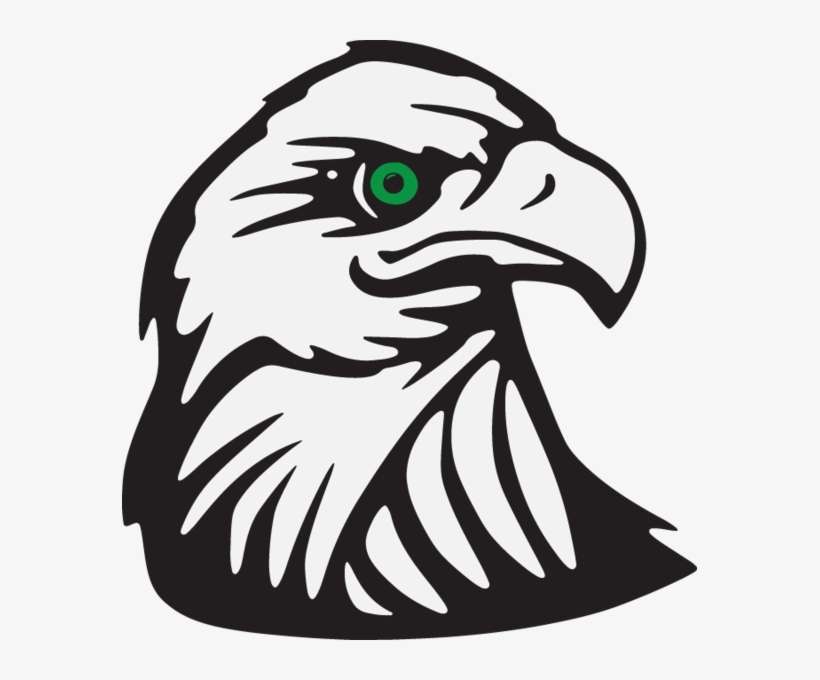 287ra - Eagle's Head - Bald Eagle Symbol Shower Curtain, transparent png download