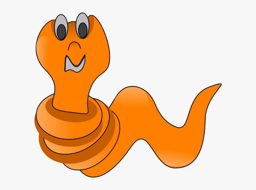 Orange Worm Clip Art, transparent png download