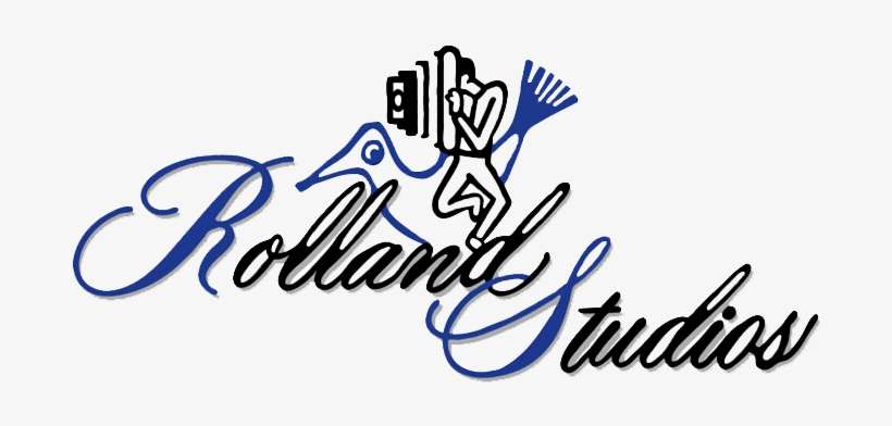 Cd Logo Clear Background - Employment, transparent png download