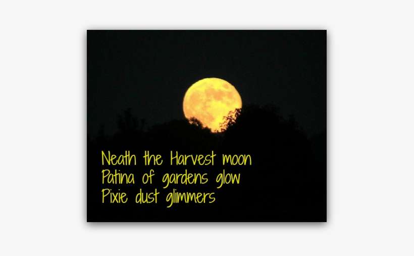 Harvest Moon - Tales Of The Night: Steps Into Darkness, transparent png download