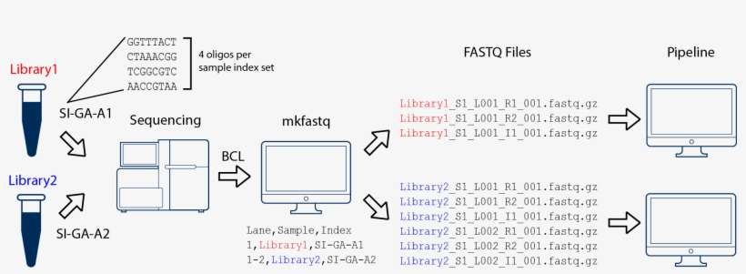Two Libraries, One Flowcell - Library, transparent png download