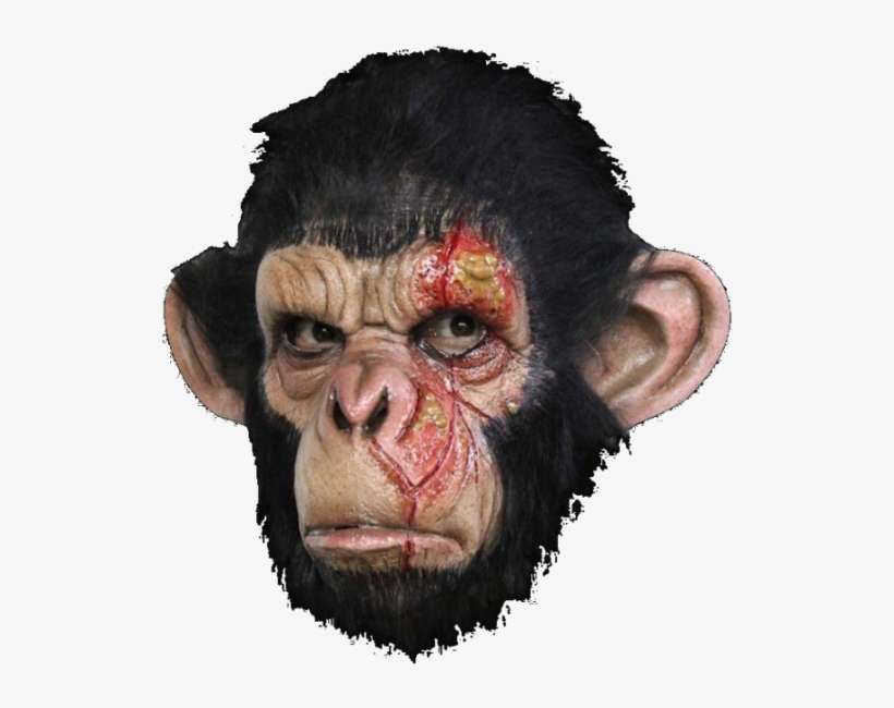 Brown Infected Chimp - Infected Chimp Latex Mask, transparent png download