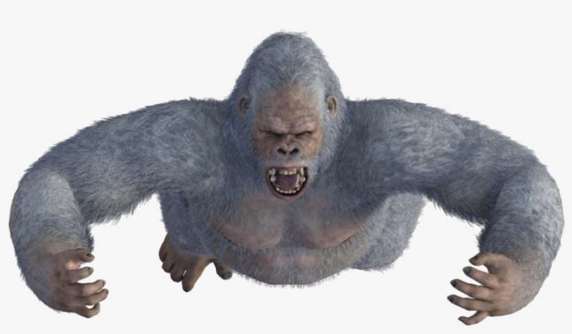 Ape Tokens By Emily Smirle Is Licensed Under A Creative - Ape Token, transparent png download