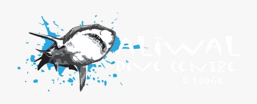 Aliwal Dive Center & Lodge - Graphic Design, transparent png download