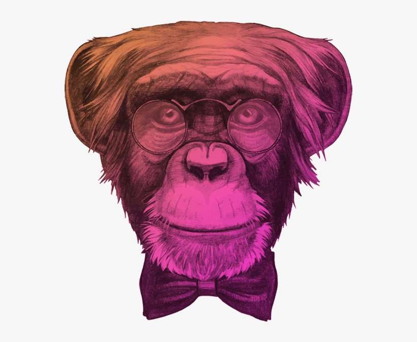 About - Monkey Wear Sunglasses Smoke Png, transparent png download