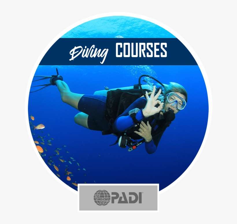 Scuba Diving In Bali - Actividades De Cabo Adventures, transparent png download