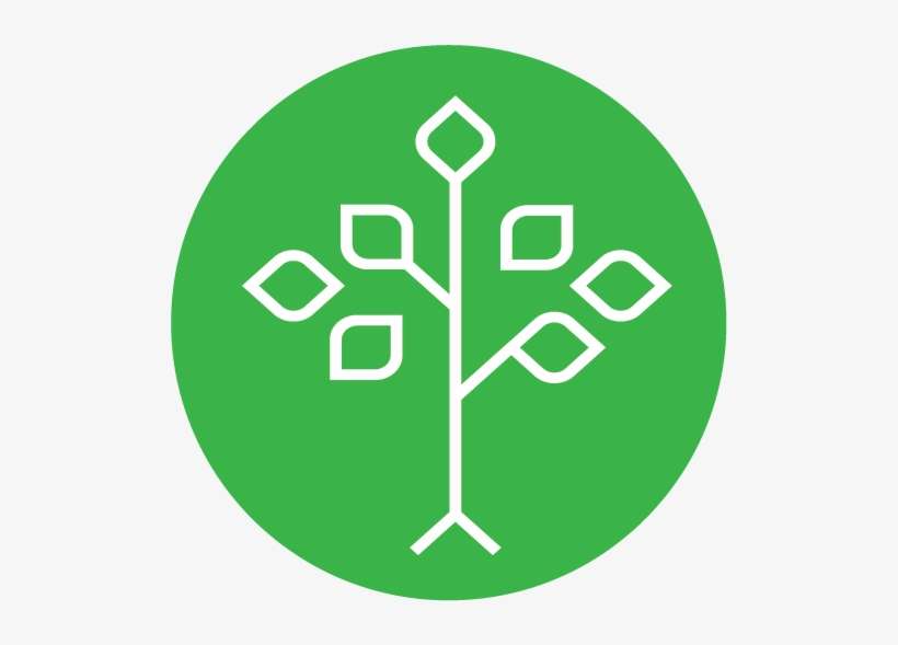 A New Tool Called Healthtree For Multiple Myeloma Patients - Birgit Wenz, transparent png download