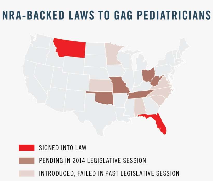 Nra's Lead By Introducing Laws That Would Discipline - Girl Who Kicked The Hornet's, transparent png download